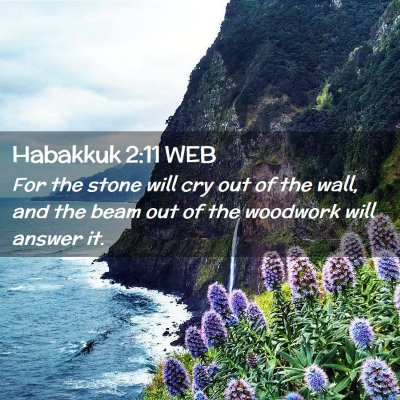 Picture 02 - Habakkuk 2:11 WEB - For the stone will cry out of the wall, and the - Bible Verse Picture