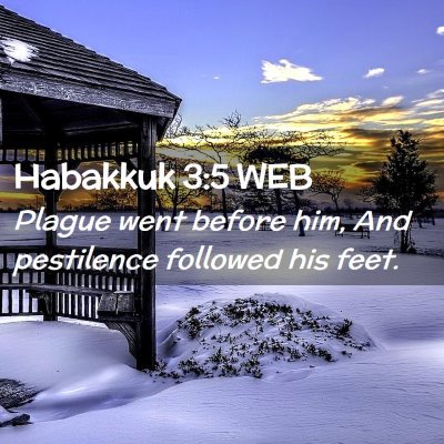 Picture 02 - Habakkuk 3:5 WEB - Plague went before him, And pestilence followed - Bible Verse Picture