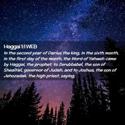Picture 02 - Haggai 1:1 WEB - In the second year of Darius the king, in the - Bible Verse Picture