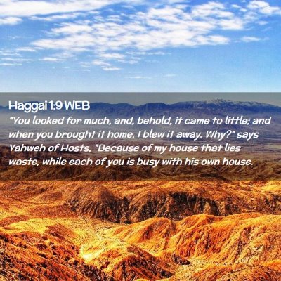 Picture 02 - Haggai 1:9 WEB - 