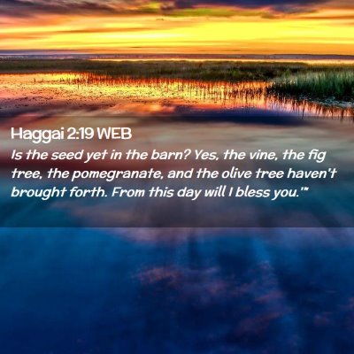 Picture 02 - Haggai 2:19 WEB - Is the seed yet in the barn? Yes, the vine, the - Bible Verse Picture
