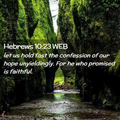 Picture 02 - Hebrews 10:23 WEB - let us hold fast the confession of our hope - Bible Verse Picture