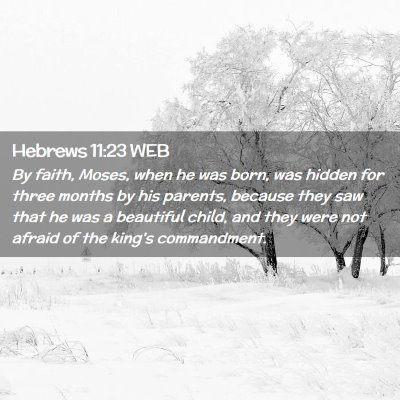 Picture 02 - Hebrews 11:23 WEB - By faith, Moses, when he was born, was hidden for - Bible Verse Picture