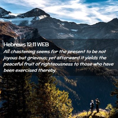 Picture 02 - Hebrews 12:11 WEB - All chastening seems for the present to be not - Bible Verse Picture