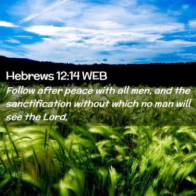 Picture 02 - Hebrews 12:14 WEB - Follow after peace with all men, and the - Bible Verse Picture