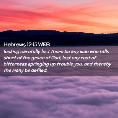 Picture 02 - Hebrews 12:15 WEB - looking carefully lest there be any man who falls - Bible Verse Picture