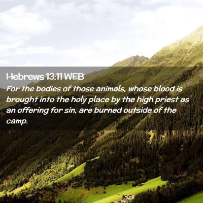 Picture 02 - Hebrews 13:11 WEB - For the bodies of those animals, whose blood is - Bible Verse Picture