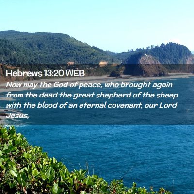 Picture 02 - Hebrews 13:20 WEB - Now may the God of peace, who brought again from - Bible Verse Picture