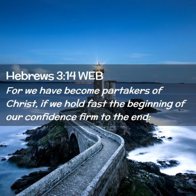 Picture 02 - Hebrews 3:14 WEB - For we have become partakers of Christ, if we - Bible Verse Picture