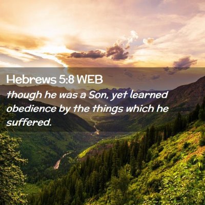 Picture 02 - Hebrews 5:8 WEB - though he was a Son, yet learned obedience by the - Bible Verse Picture