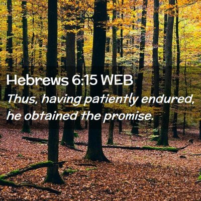 Picture 02 - Hebrews 6:15 WEB - Thus, having patiently endured, he obtained the - Bible Verse Picture