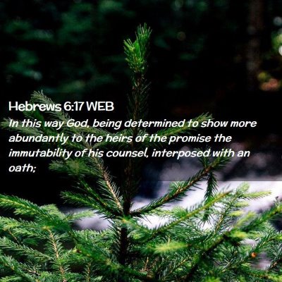 Picture 02 - Hebrews 6:17 WEB - In this way God, being determined to show more - Bible Verse Picture