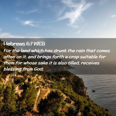 Picture 02 - Hebrews 6:7 WEB - For the land which has drunk the rain that comes - Bible Verse Picture
