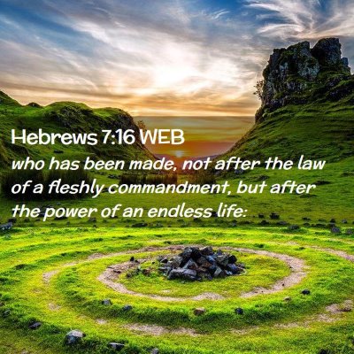 Picture 02 - Hebrews 7:16 WEB - who has been made, not after the law of a fleshly - Bible Verse Picture