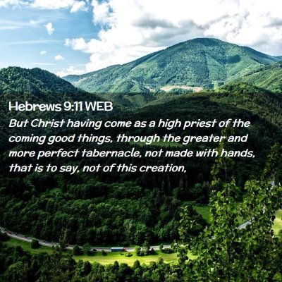 Picture 02 - Hebrews 9:11 WEB - But Christ having come as a high priest of the - Bible Verse Picture