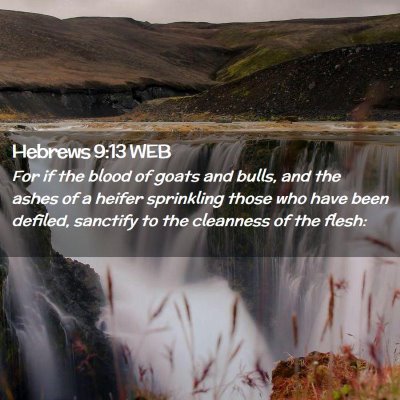 Picture 02 - Hebrews 9:13 WEB - For if the blood of goats and bulls, and the - Bible Verse Picture