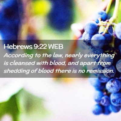 Picture 02 - Hebrews 9:22 WEB - According to the law, nearly everything is - Bible Verse Picture