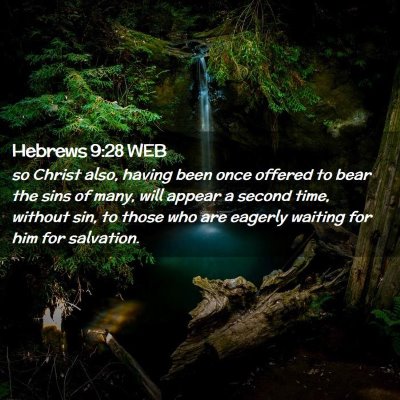 Picture 02 - Hebrews 9:28 WEB - so Christ also, having been once offered to bear - Bible Verse Picture