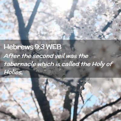 Picture 02 - Hebrews 9:3 WEB - After the second veil was the tabernacle which is - Bible Verse Picture