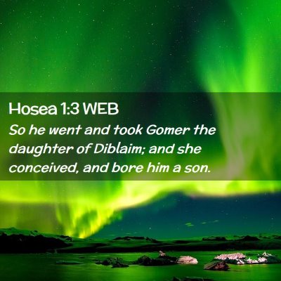 Picture 02 - Hosea 1:3 WEB - So he went and took Gomer the daughter of - Bible Verse Picture