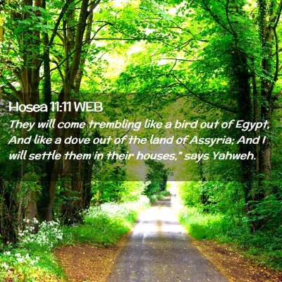 Picture 02 - Hosea 11:11 WEB - They will come trembling like a bird out of - Bible Verse Picture