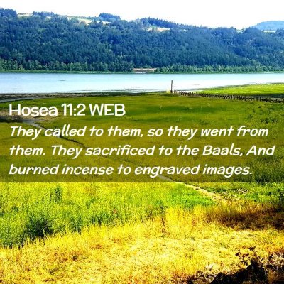 Picture 02 - Hosea 11:2 WEB - They called to them, so they went from them. They - Bible Verse Picture