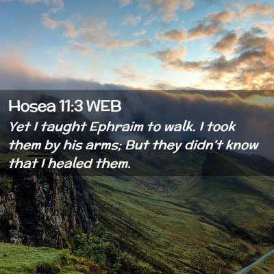 Picture 02 - Hosea 11:3 WEB - Yet I taught Ephraim to walk. I took them by his - Bible Verse Picture