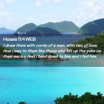 Picture 02 - Hosea 11:4 WEB - I drew them with cords of a man, with ties of - Bible Verse Picture