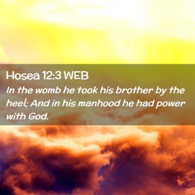 Picture 02 - Hosea 12:3 WEB - In the womb he took his brother by the heel; And - Bible Verse Picture