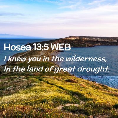 Picture 02 - Hosea 13:5 WEB - I knew you in the wilderness, In the land of - Bible Verse Picture
