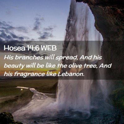 Picture 02 - Hosea 14:6 WEB - His branches will spread, And his beauty will be - Bible Verse Picture