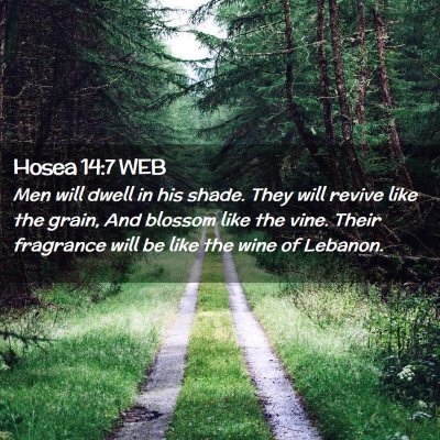 Picture 02 - Hosea 14:7 WEB - Men will dwell in his shade. They will revive - Bible Verse Picture