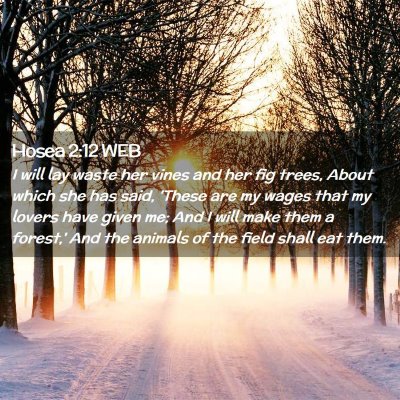 Picture 02 - Hosea 2:12 WEB - I will lay waste her vines and her fig trees, - Bible Verse Picture