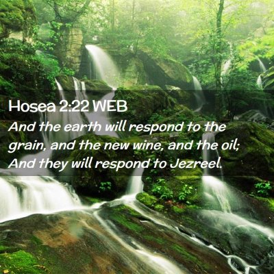 Picture 02 - Hosea 2:22 WEB - And the earth will respond to the grain, and the - Bible Verse Picture