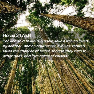 Picture 02 - Hosea 3:1 WEB - Yahweh said to me, 