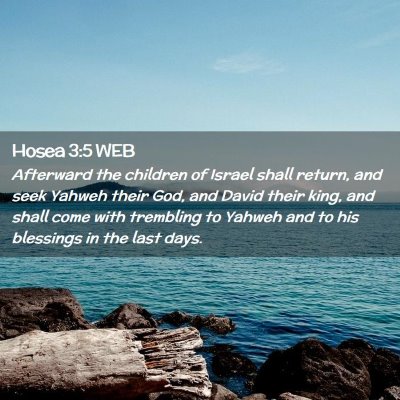 Picture 02 - Hosea 3:5 WEB - Afterward the children of Israel shall return, - Bible Verse Picture