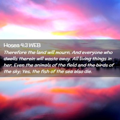 Picture 02 - Hosea 4:3 WEB - Therefore the land will mourn, And everyone who - Bible Verse Picture