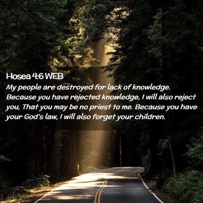 Picture 02 - Hosea 4:6 WEB - My people are destroyed for lack of knowledge. - Bible Verse Picture