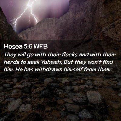 Picture 02 - Hosea 5:6 WEB - They will go with their flocks and with their - Bible Verse Picture