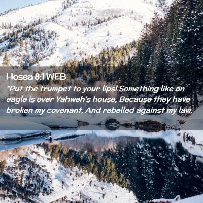 Picture 02 - Hosea 8:1 WEB - 