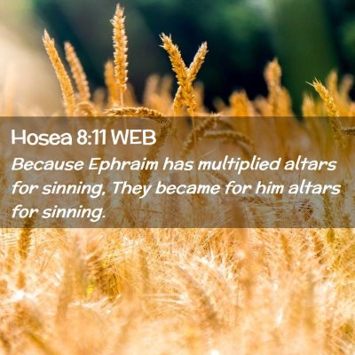 Picture 02 - Hosea 8:11 WEB - Because Ephraim has multiplied altars for - Bible Verse Picture