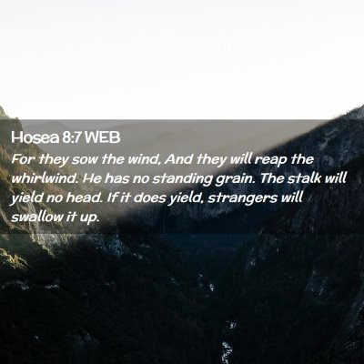 Picture 02 - Hosea 8:7 WEB - For they sow the wind, And they will reap the - Bible Verse Picture