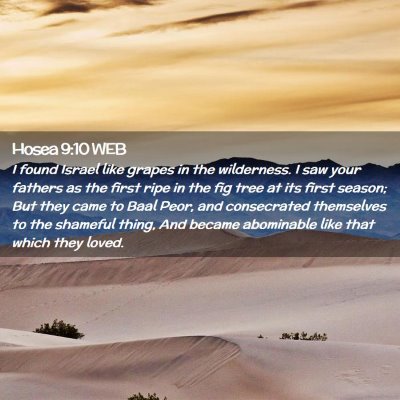 Picture 02 - Hosea 9:10 WEB - I found Israel like grapes in the wilderness. I - Bible Verse Picture