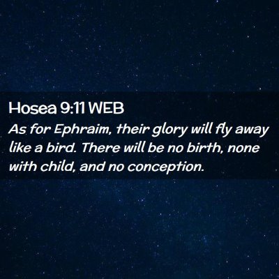 Picture 02 - Hosea 9:11 WEB - As for Ephraim, their glory will fly away like a - Bible Verse Picture