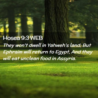 Picture 02 - Hosea 9:3 WEB - They won't dwell in Yahweh's land; But Ephraim - Bible Verse Picture