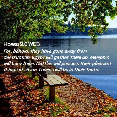 Picture 02 - Hosea 9:6 WEB - For, behold, they have gone away from - Bible Verse Picture