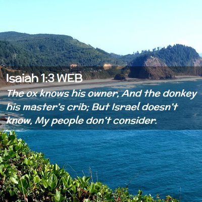 Picture 02 - Isaiah 1:3 WEB - The ox knows his owner, And the donkey his - Bible Verse Picture