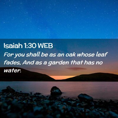Picture 02 - Isaiah 1:30 WEB - For you shall be as an oak whose leaf fades, And - Bible Verse Picture