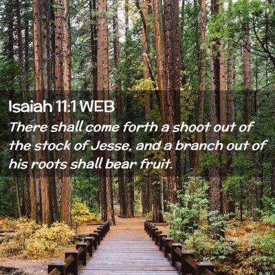 Picture 02 - Isaiah 11:1 WEB - There shall come forth a shoot out of the stock - Bible Verse Picture