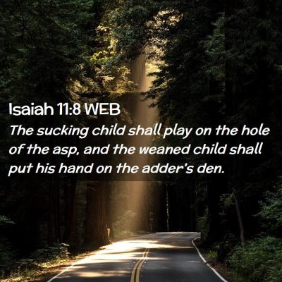 Picture 02 - Isaiah 11:8 WEB - The sucking child shall play on the hole of the - Bible Verse Picture